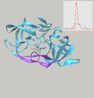 Supplementary Animation C-min-v5.gif